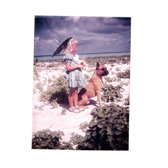 Meet your Posher, Donna - Picture 4 of 4